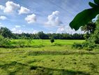 Veyangoda බස් පාරට මුහුනලා වෙල්යායකට මායිම් බිම් කොටස් / KM 14055