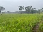 Land for Sale in Anuradhapura