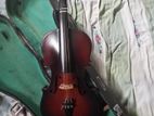 Violin