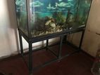 Fish Tank with Accessories