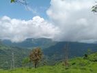 View land for sale Nuwara Eliya Road