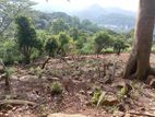 View Point Land for Sale Kandy