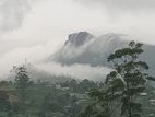 View point land for sale Nuwara Eliya