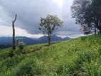 View point land for sale Nuwara Eliya