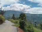 View point land for sale Nuwara Eliya