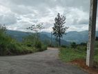 View point land for sale Nuwara Eliya