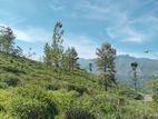 View point land for sale Nuwara Eliya