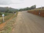 View Point Land for Sale Nuwara Eliya