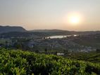 View Point Land for Sale Nuwara Eliya
