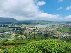 View Point Land for Sale Nuwara Eliya