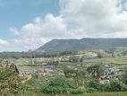 View Point Land for Sale Nuwara Eliya
