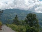 View point land for sale Nuwara Eliya pundaluoya