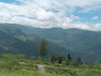 View Point Land for Sale Nuwara Eliya Pundaluoya