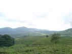 View Point Land For Sale Nuwara Eliya Ramboda