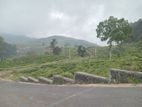 View point land for sale Nuwara Eliya Road