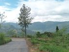 View Point Land for Sale Nuwara Eliya Road