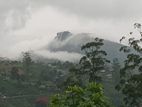 View Point Land for Sale Nuwara Eliya Road