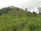View Point Land for Sale Nuwara Eliya Road