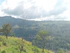 View point land for sale Nuwara Eliya Road