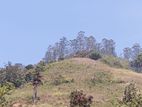 View Point Land for Sale Pundaluoya