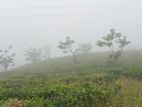 View Point Land Nuwaraeliya Road