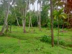 විගඩ බෙම්මුල්ලෙන් ඉඩමක්