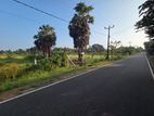 Jaffna Land for Sale