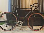 Viking 1.0 omnium rode bicycle