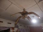Antique Fan