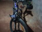 DSI Mountain Bicycle