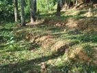 Land for Sale in Paranagama