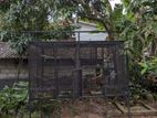 Birds Cage