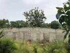 Lands for Sale in සීනුග්ගල පාර, රතබලාගම, හම්බෙගමුව