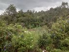 විකුණන ඉඩම Bandarawela