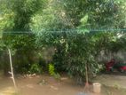 Vila For Sale Polhena Mathara