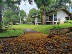 Villa for Rent in Kandy (shanika Nature Resort)