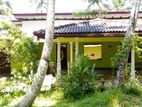 Villa For Sale In Gampaha - CC653