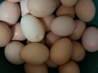 Village Eggs