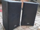 Villiodor 10" 300W professional speaker Set