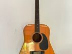 Vintage Japanese Morales Acoustic Guitar