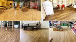 Vinyl Flooring (LVT PVC floor, Laminating flooring)