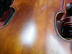 Violin