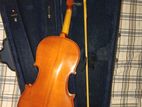 Violin