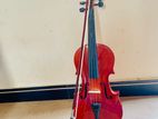 Violin