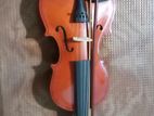 Violin