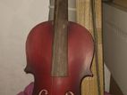 Violin