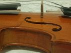 Violin