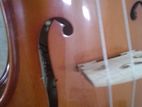 Violin