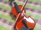 violin