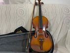 Violin